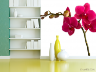 Фотошпалери Гілка бардових орхідей - 3