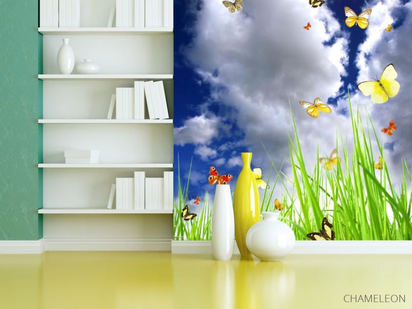 Фотошпалери небо з метеликами над травою - 3