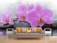 Фотообои камни и орхидеи - 1