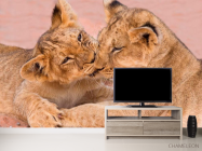 Фотообои Игра тигрят - 2