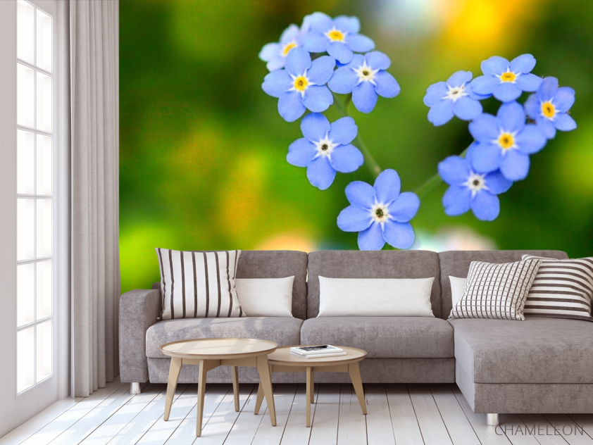 Фотообои Васильки - 3