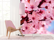 Фотошпалери Квітуче рожевим дерево - 4