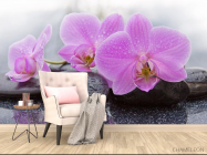 Фотообои камни и орхидеи - 4