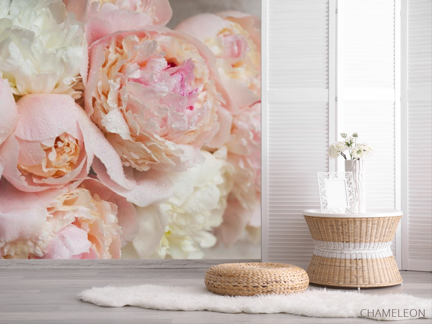 Фотошпалери ніжні квіти з краплями - 2