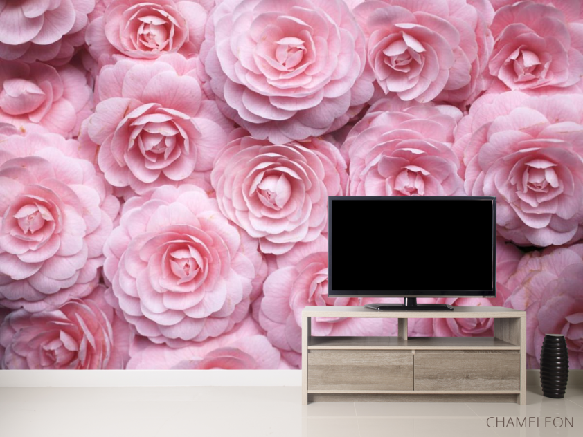 Фотообои широкие розы - 2