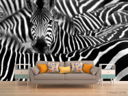 Фотообои Любопытная зебра - 1