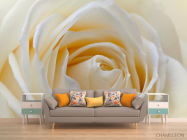 Фотообои Бледно-бежевая роза - 1