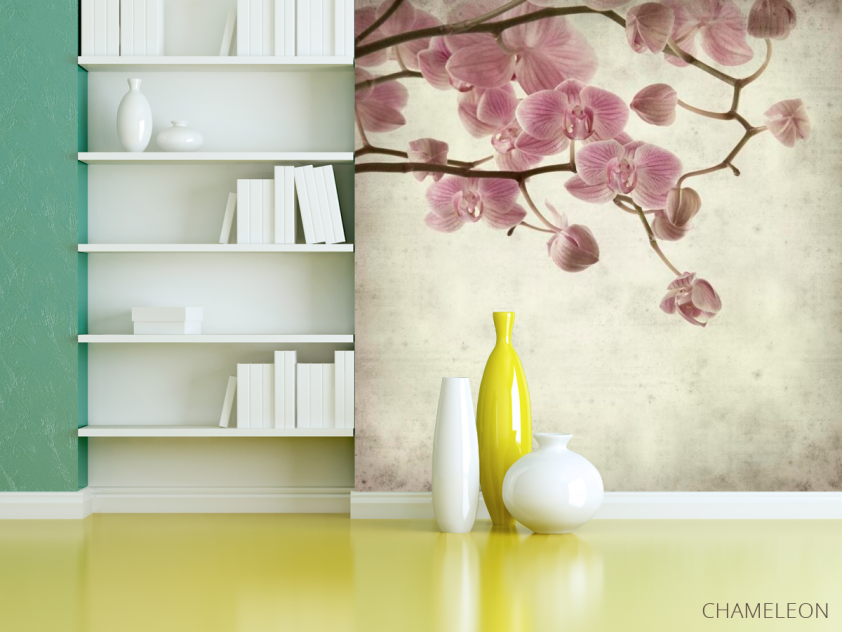 Фотошпалери Орхідеї кремово-сірі - 3