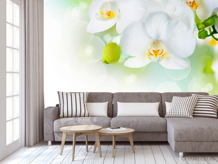 Фотообои Орхидеи в цвету - 3