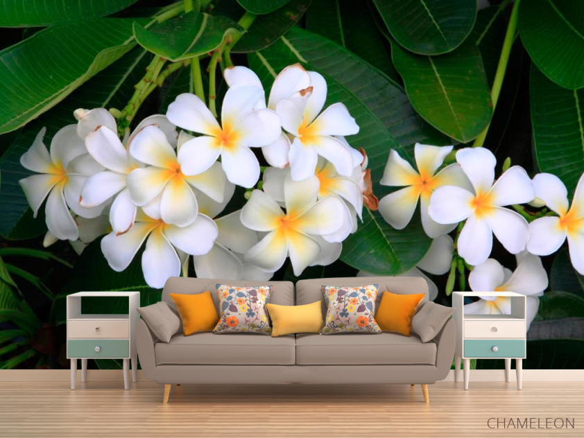 Фотообои Беленькие маленькие цветы - 1