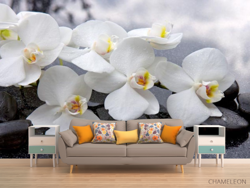 Фотообои белые орхидеи на черных камнях - 1