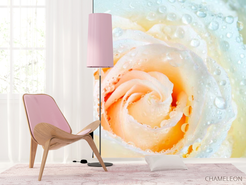 Фотошпалери Роза біло-бежева - 4