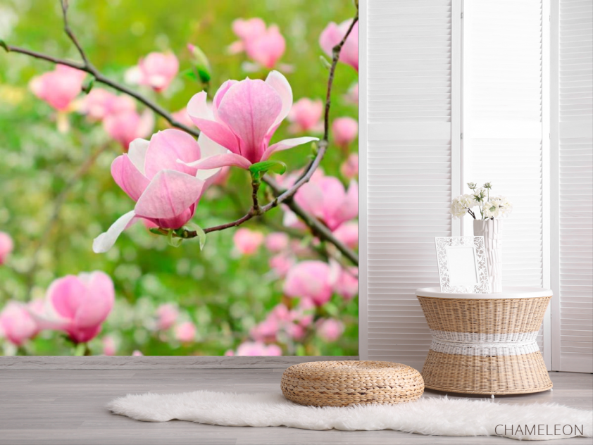 Фотошпалери Рожевий імбир - 2