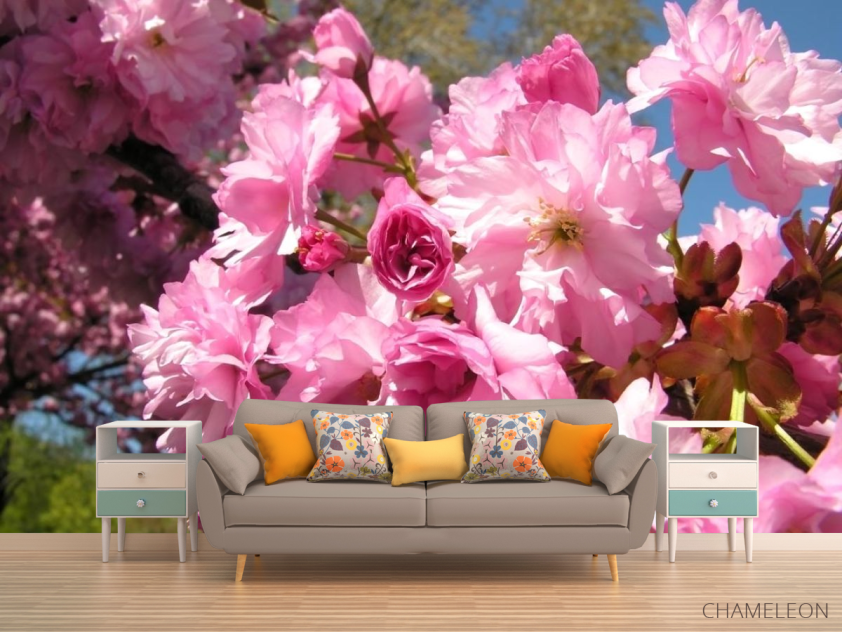 Фотообои розовое цветение - 1