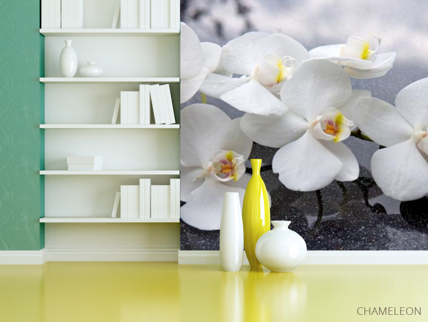 Фотошпалери білі орхідеї на чорних каменях - 3