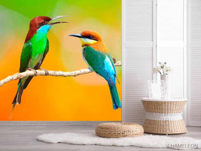 Фотошпалери Колібрі на гілці - 2