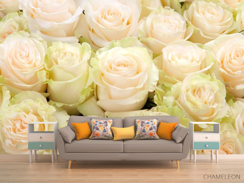 Фотообои нежные розы - 1