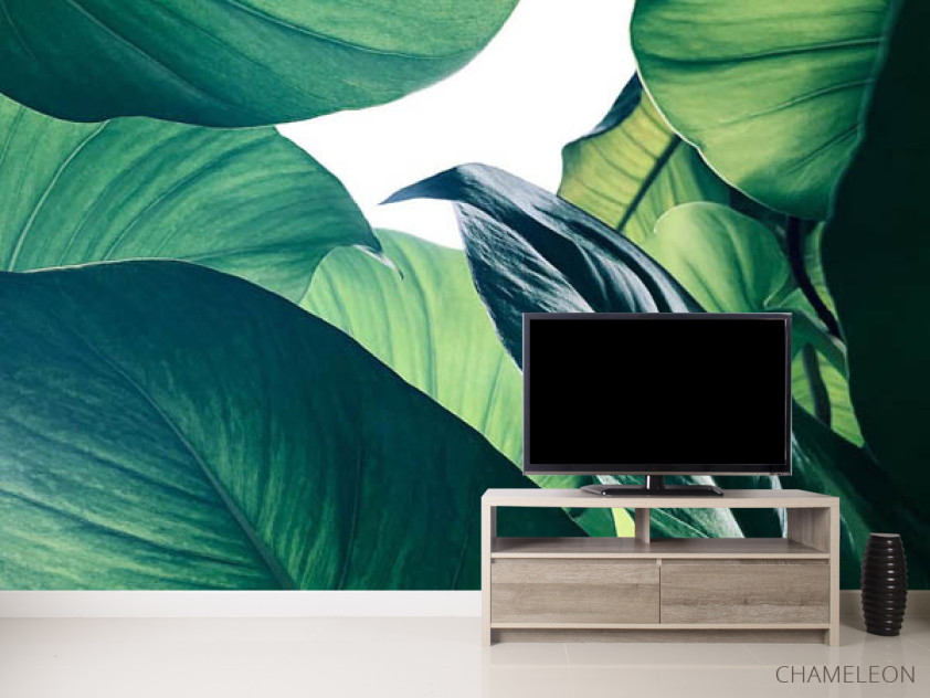 Фотообои Зелёные листья - 2