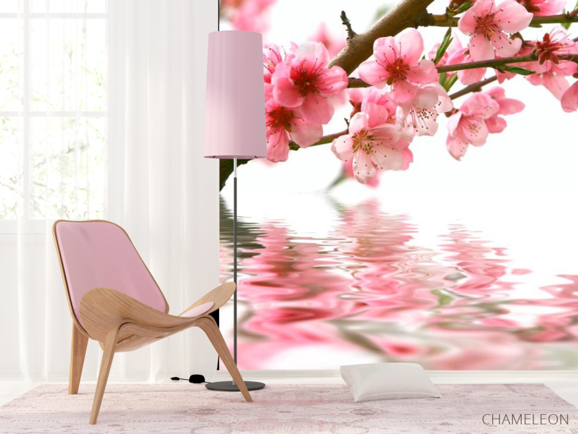 Фотошпалери Рожеві квітки і вода - 4