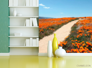 Фотошпалери Стежка, мак - 3