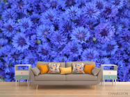 Фотообои синий Остеоспермум - 1