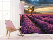 Фотошпалери лавандове поле - 4