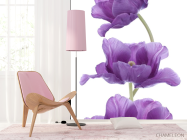 Фотошпалери фіолетові тюльпани - 4