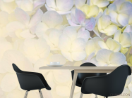 Фотошпалери Квіти - 1