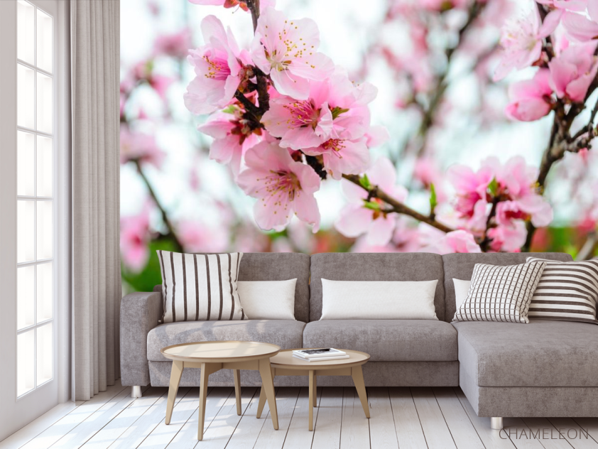 Фотообои розовая сакура - 3