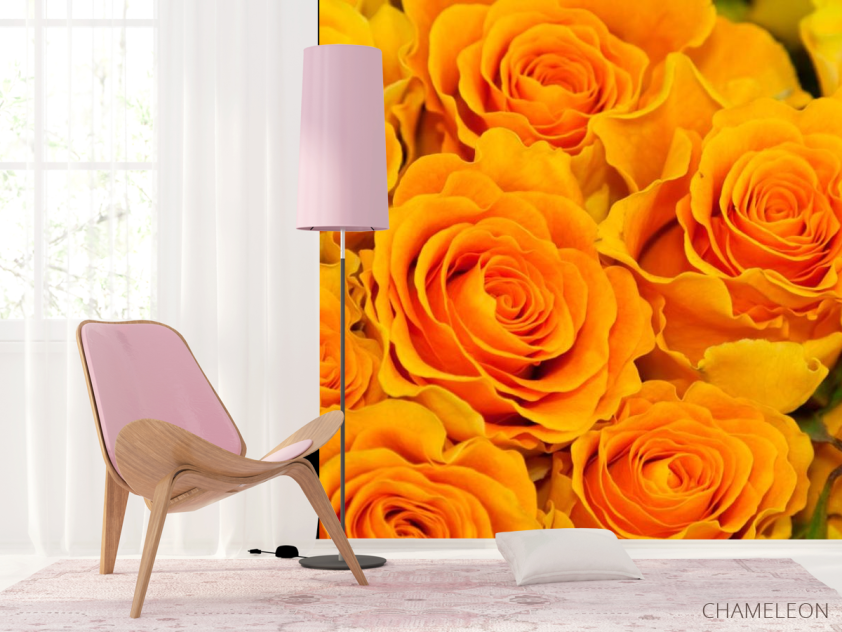 Фотошпалери Троянди жовтого відтінку - 4