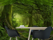 Фотошпалери зелений ліс - 1