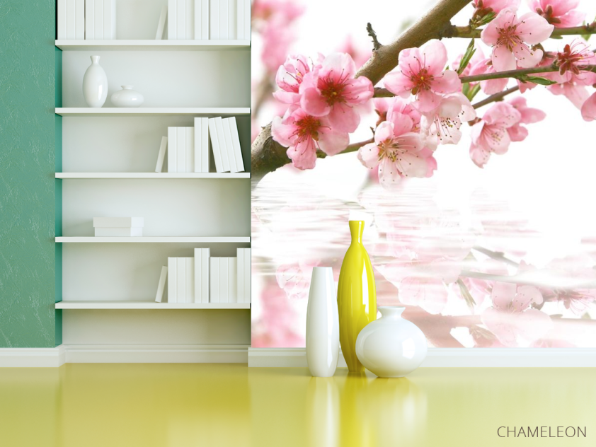 Фотошпалери цвіт вишні над водою - 3