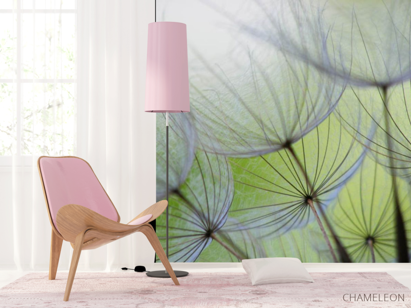 Фотошпалери кульбаби - 4