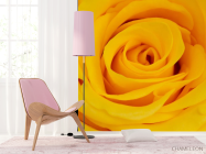Фотошпалери жовта троянда - 4