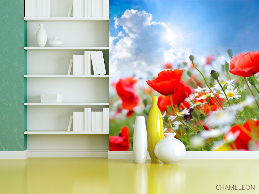 Фотошпалери Маки та ромашки - 3