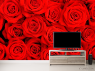 Фотообои Розы ярко-алые - 2