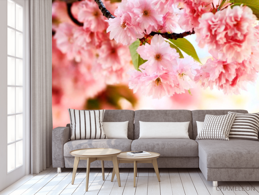 Фотообои Ветка нежно-розовых цветов - 3