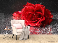 Фотообои Бардовая роза - 4