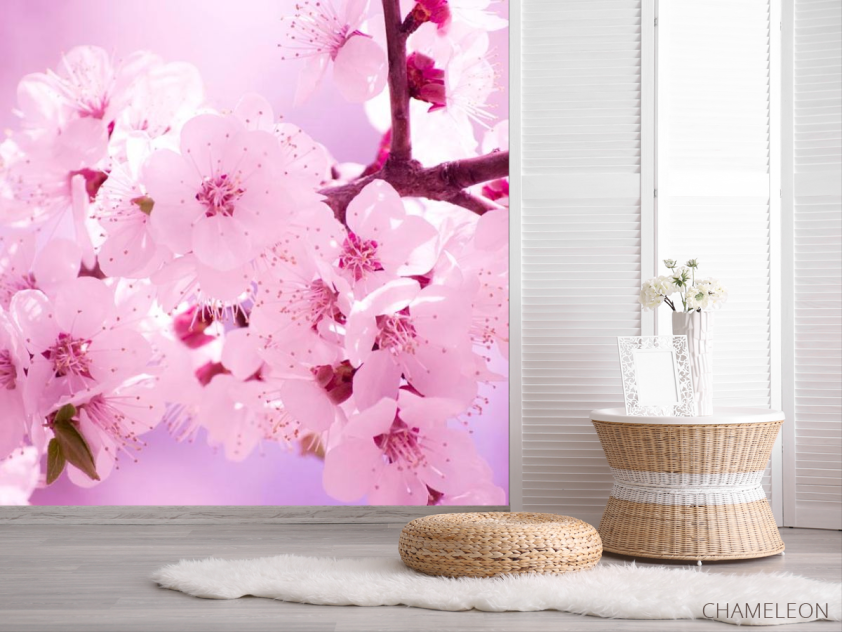 Фотошпалери Цвітіння персика навесні - 2