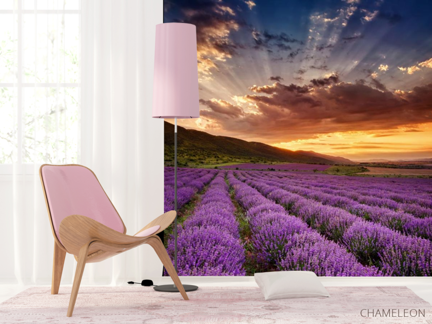 Фотошпалери захід сонця над полем бузковим - 4