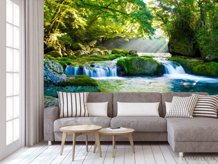 Фотообои Дивный уголок леса - 3