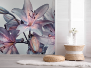 Фотошпалери Фіолетові лілії - 2