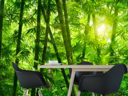 Фотошпалери Тропічна зелень - 1