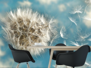 Фотошпалери кульбаби - 1