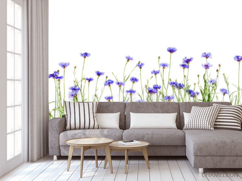 Фотообои Волошки синие - 3