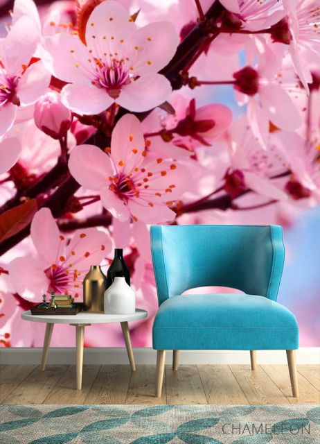 Фотообои Цветущее розовым дерево - 4
