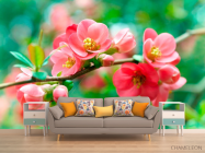 Фотообои Имбирь коралловый - 1