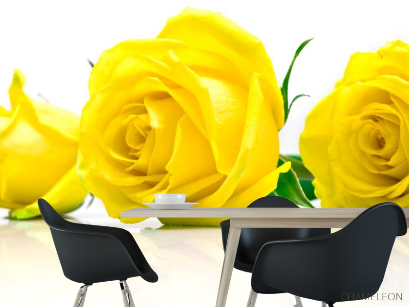 Фотошпалери Троянди жовті - 1