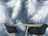 Фотошпалери пір'я - 1