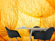 Фотошпалери помаранчевий кульбаба - 1